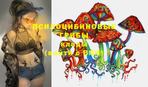 ГАЛЛЮЦИНОГЕННЫЕ ГРИБЫ Вязьма