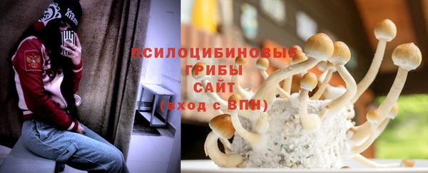 ГАЛЛЮЦИНОГЕННЫЕ ГРИБЫ Вязьма