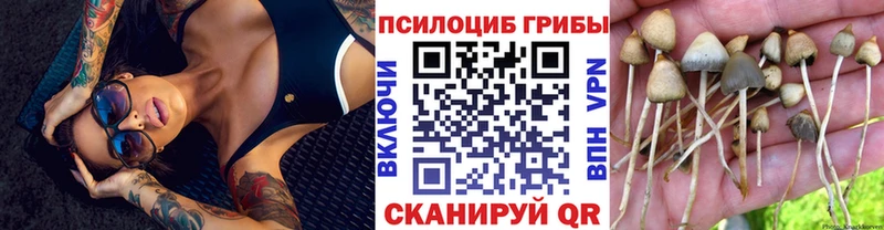 Галлюциногенные грибы Psilocybine cubensis  Нея 